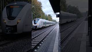 Einfahrt RB30 nach Zwickau (Sachs.) Hbf in St. Egidien