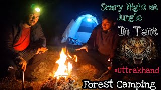 Overnight Camping In Forest | tiger attack in Camping | Camping in india