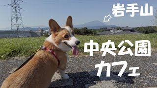 盛岡の犬連れOKカフェと中央公園に行って来ました！