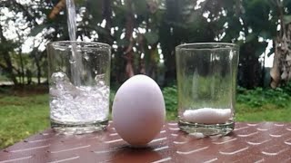 ഒരു ചെറിയ പരീക്ഷണം |salt water \u0026 egg expirement.|SHANIB VLOGER TECH