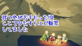 【Sky】捨て地が苦手だった頃、エビちゃん観察してました