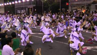 ２０１０第２６回南越谷阿波踊り　徳島招待連総踊り　フルHD