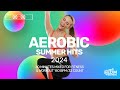 Aerobic Summer Hits 2024 (140 bpm/32 count)