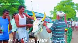 எங்க ஆட்டம் வெறித்தனமா இருக்கும் // பந்தய காதலன் // what's app status video