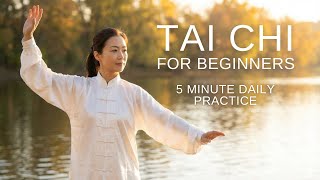 Tai Chi Over 50 | Improve Balance & Fall Prevention