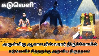 ☄️நந்தவனத்திலோர் ஆண்டி - தத்துவம் சொன்ன கடுவெளிச் சித்தர் l Sri Agasha Puruishwar Temple #yathrigan