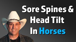 Kissing Spine and Vestibular Disease In Horses by Geoff Tucker, DVM.