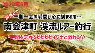 【渓流ルアー】2022年5月南会津西部漁協の渓に魅せられて…2週連続、時間を忘れてイワナと遊ぶ…