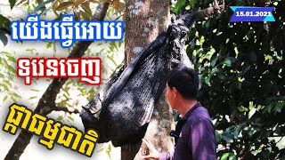 #EXM យើងធ្វើអោយទុរេនចេញផ្កាធម្មជាតិលើធម្មជាតិ (15.01.2021)