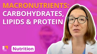 Macronutrients: Carbohydrates, Lipids, Protein - Nutrition Essentials for Nursing | @LevelUpRN