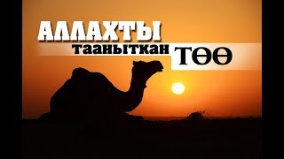 АЛЛАХТЫ ДАЛИЛДЕГЕН ТӨӨ...