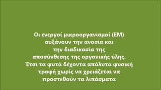 Η ΠΕΡΜΑΚΟΥΛΤΟΥΡΑ ΣΤΑ ΑΓΡΟΚΤΗΜΑΤΑ №2 (Το παρτέρι της αεικαλλιέργειας)