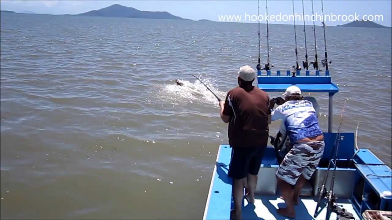 Big Barramundi 6 Hd Youtube