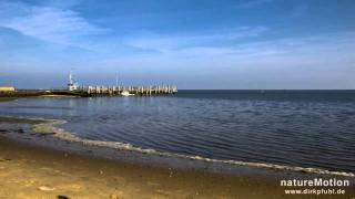 auflaufende Flut im Hafen von Steenodde, Amrum