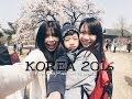 KOREA - MARCH | APRIL (SPRING - CHERRY BLOSSOM) | 韩国春天 - 樱花季节