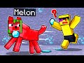 Melon Is HELPFUL DOG in Minecraft!