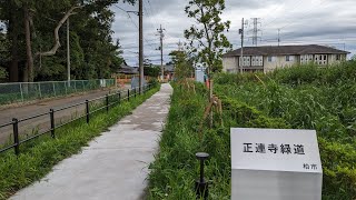 【正連寺並木道緑地】緑が増えてきた緑道を歩いてみた【柏の葉キャンパス】