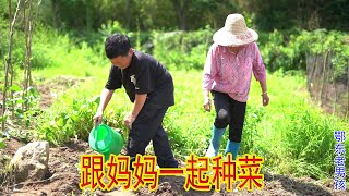 老男孩买来各种蔬菜种子，跟妈妈一起去地里种下，以后有菜吃了