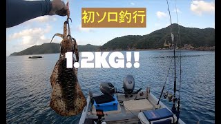 【五島列島マリンライフ】初ソロ釣行