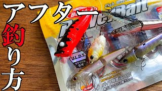 ６月のバス釣りアフタースポーンってどうやるの？シーズナルパターン紹介！