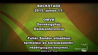 Dámkonferencia - 2015.06.11. - Fehér Sándor előadása