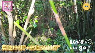 新竹縣關西鎮新城臨路大坪數農林地-春明地產-035551111