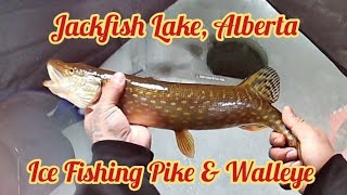 Testing the new JawJacker Flag. Ice Fishing at Jackfish Lake, Alberta.