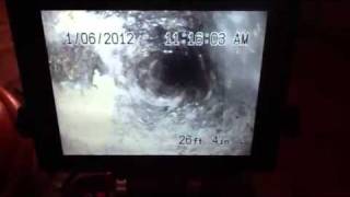 SwiftPlumbers.com video drain pipe line sewer inspection af