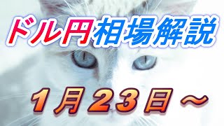 【TAKA FX】ドル円為替相場の今週の動きと来週の展望をチャートから解説。日経平均、NYダウ、金チャートも。1月23日～