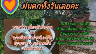 EP23 ฝนตกทั้งวัน | ทานข้าวเที่ยง | แกงส้มปลากระป๋องใส่มะละกอ หมูทอดน้ำปลา | Lifestyles by Saw Sompan