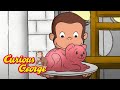 Curious George 🐵 1 Hour Compilation 🐵 English Full Episode 🐵 Videos For Kids