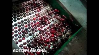 Frozen (iqf) Cherry-Sour Cherry Processing Line by GOZTEPE MAKINA