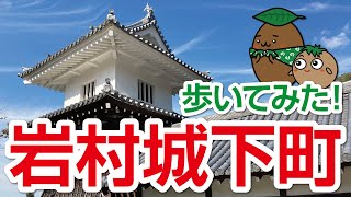 【岐阜｜岩村城下町】全国山城サミット恵那大会02～岩村城下町 ふくろう商店街から太鼓櫓まで歩いてみた！【ひろガリ工房】