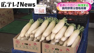 【台風の影響か】鍋用野菜の価格が高騰