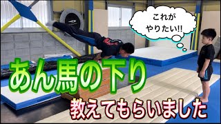 苦手なあん馬の下り教えてもらいました！めちゃくちゃ参考になった！