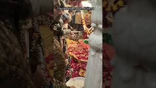 Hazrat Nizamuddin Aulia r.a Dargah Sharif inside Ziyarat 2025 #trending #viralvideo #youtubeshorts