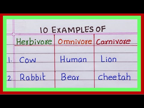 What are herbivores examples?