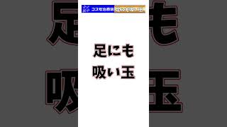 【吸い玉】肩こり腰痛足のむくみにも吸い玉を行うサラリーマン21＃shorts【鍼灸院・整体】渋谷区恵比寿コスモ治療院