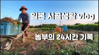 일본 시골생활 vlog (농부의 하루 24시간 밀착 브이로그)