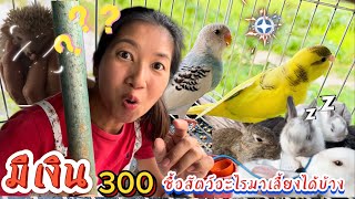 มีเงิน300บาทซื้อสัตว์อะไรมาเลี้ยงได้บ้างเเละพาไปอัปเดตลูกสาว #กระต่าย #นกหงส์หยก  #พี่บิวน้องหนู