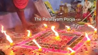 The Palalayam Pooja is Started now in our Samughi Amman templeJanuary 23, 2025