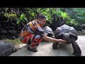 sound alami.. beginilah suasana hutan tropis aviary di pagi hari.. semua burung langsung berkicau