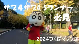 つくばマラソン2024応援したゾ