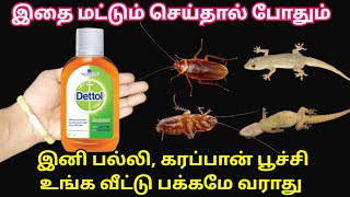 இனி பல்லி, கரப்பான் பூச்சி உங்க வீட்டு பக்கம் எட்டி கூட பாக்காது|Get rid of cockroach tamil #tips