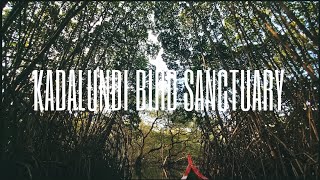 Kadalundi Bird Sanctuary കടലുണ്ടി പക്ഷിസങ്കേതം | Kadalundi I Bird sanctuary| KOZHIKODE