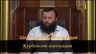 ҚУРБОНЛИК ҲАҚИДА ~ ШАЙХ СОДИҚ  САМАРҚАНДИЙ  | QURBONLIK XAQIDA ~ SHAYH SODIQ SAMARQANDIY