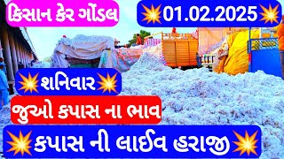 આજના કપાસ ના ભાવ | કપાસ ના બજાર ભાવ | cotton crop price | aaj na kapas na bhav Gondal 01/02/2025