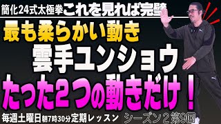 ２つの動きだけ！最も柔らかい動き雲手・横への移動方法【太極拳レッスン】詳しい説明！簡化24式太極拳。初心者からベテランまでの中村げんこうの太極拳、シーズン２第9回【毎週土曜日】中医学・健康・瞑想・養生