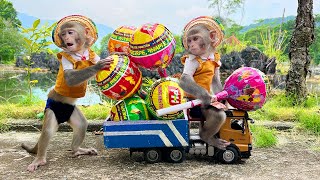 Satisfying video Cute Monkey animals - Smart Bim Bim harvest giant candy Lolipop Chupa chups