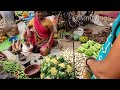 explore chhattisgarh s haat bazar 😍 छतीशगढ हाट बाजार vlogs